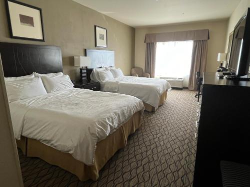 Holiday Inn Express & Suites Deming Mimbres Valley