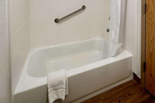 Quality Inn & Suites Albany Airport - image 4