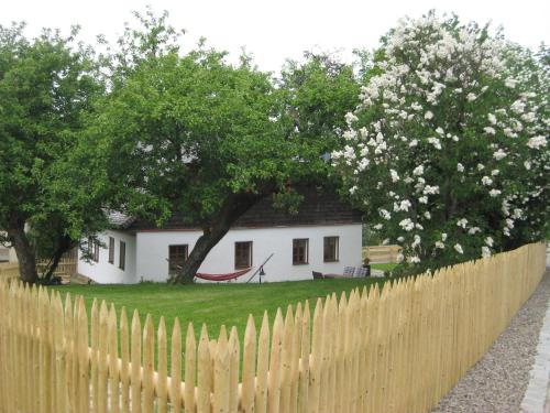 Sunny holiday home near the forest