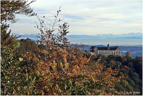 Haus am Waldrand