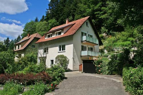 Haus am Waldrand - Triberg