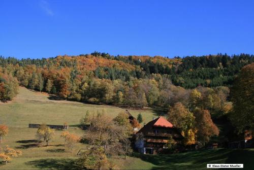 Haus am Waldrand