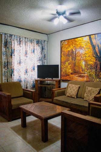One-Bedroom Apartment image 1