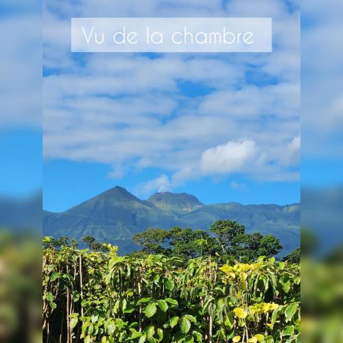 Chambre Creole in Capesterre-Belle-Eau