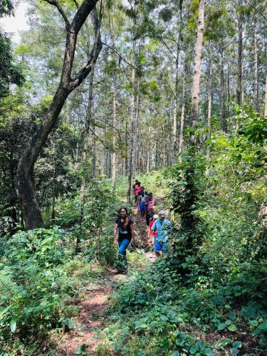 Beyond Bodhi, A Forest Retreat