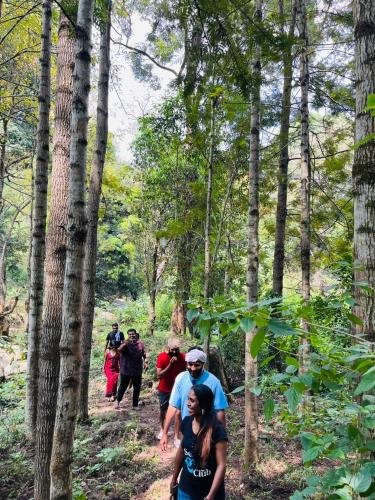 Beyond Bodhi, A Forest Retreat