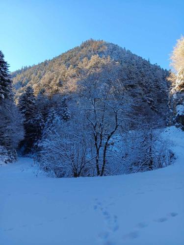 Le Castel d'olmes