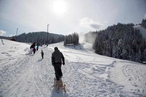 Lake Peak Apartments, Ribniško Pohorje