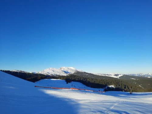 Almhütte Bairau Kaser