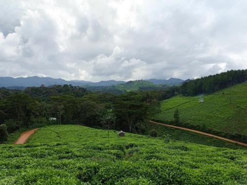 Bwindi Neckview Lodge