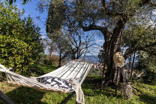 Castellara Green House - Colline di Lerici