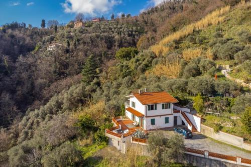 Castellara Green House - Colline di Lerici