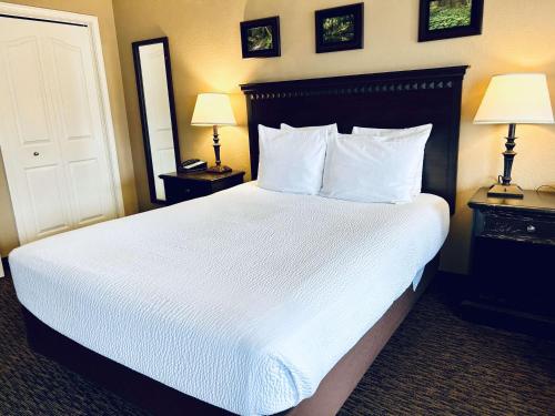 Best Western Country Inn - image 9