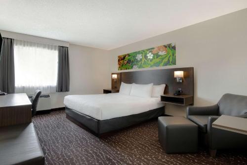 1 king bed