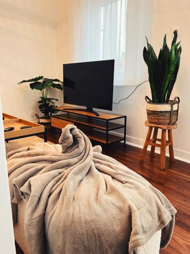 Studio Bella, De Panne (foto 3)