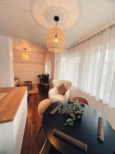 Studio Bella, De Panne (foto 8)