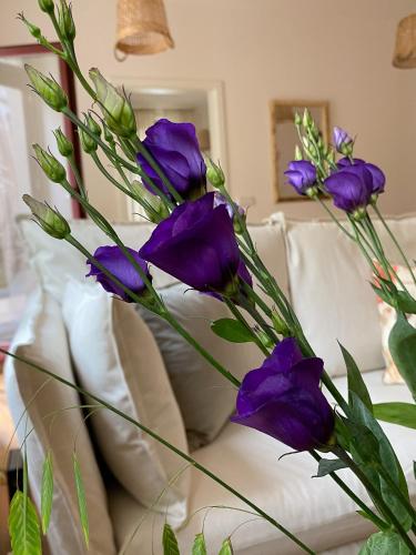 Wunderschönes Terrassen-Appartement, Lipsko (fotografie 8)