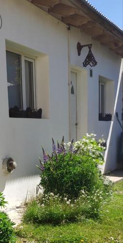 Kilátás, Capriche Departamento Temporario in Rio Gallegos