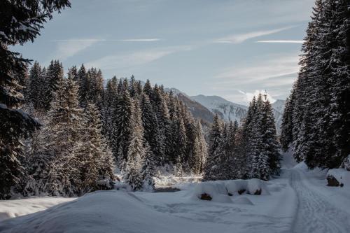 Bergler Hoamat - Mountain Hideaway