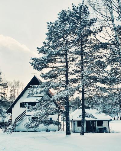 Sveti Pantelejmon Divčibare