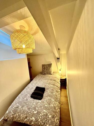 T3 Duplex entre gare et Nansouty, Bordeaux (fotografie 6)