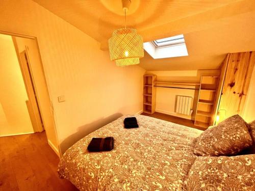 T3 Duplex entre gare et Nansouty, Bordeaux (fotografie 8)