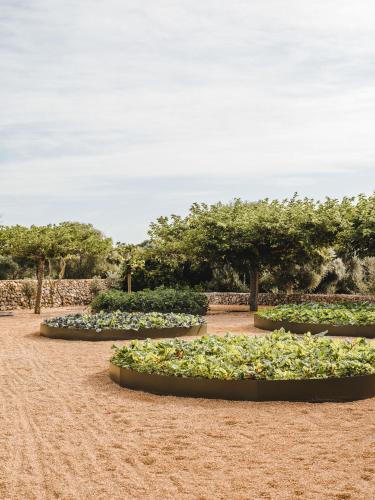 Morvedra Nou Luxury Boutique Hotel - Adults Only