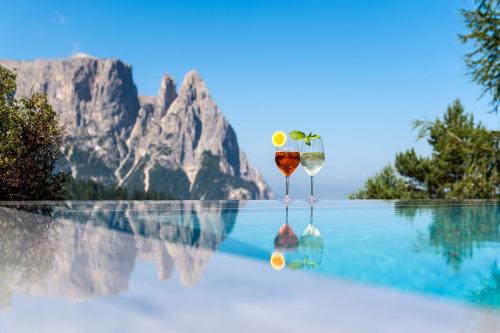 Hotel Rosa Eco Alpine Spa Resort - image 12