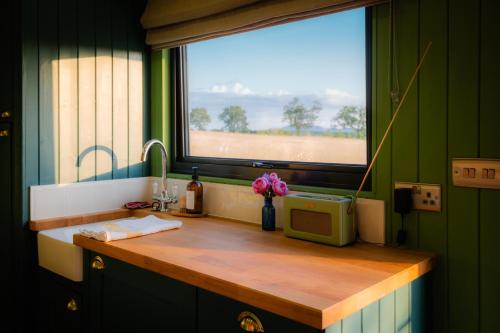 Gooseberry Shepherds Hut