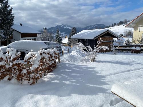 Zirbentraum in Rettenberg