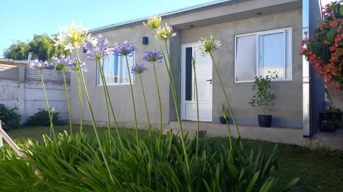 One-Bedroom House image 10