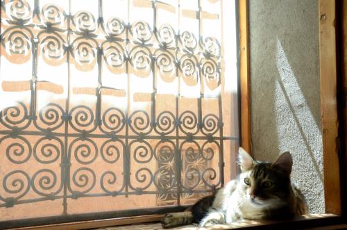 Maison d'hôtes Dar El Nath – Ouarzazate, OH