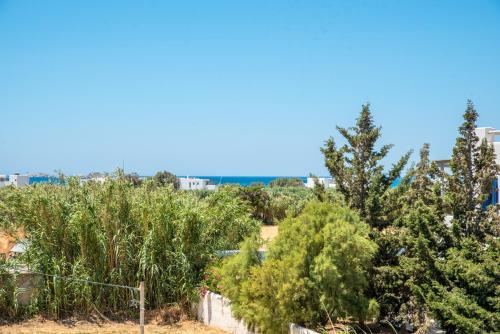 Depis Edem private villas naxos