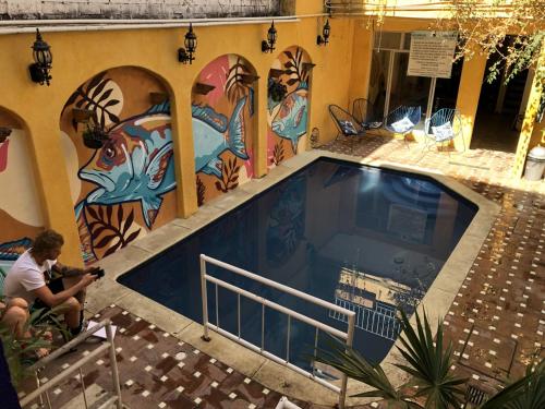 Swimming pool, Pargos Hotel & Cowork in Puerto Escondido