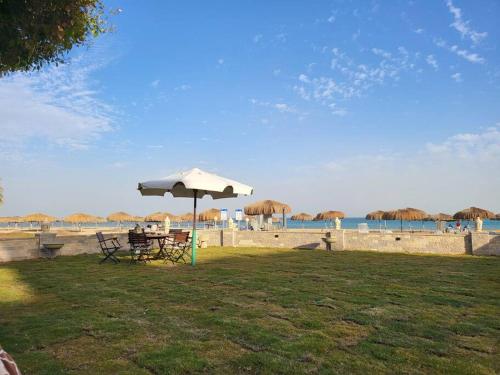 Beachfront Sokhna Chalet W View