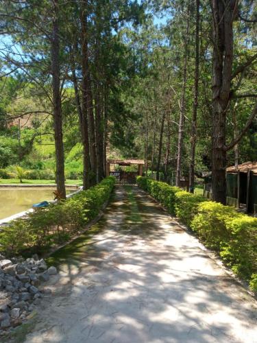 . Sitio Felicidade