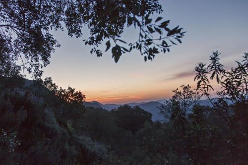 Finca La Fronda - image 12