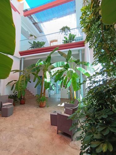 Casa de Los Balcones - image 14