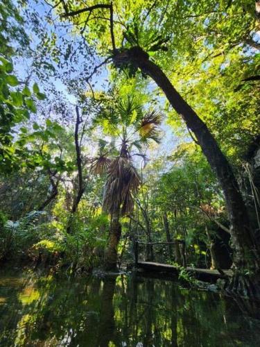 Casa de la Selva-Jungle Getaway with cenotes in Playa del Carmen, Mexico