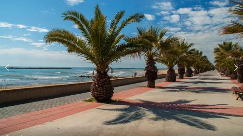 La Terraza del Sol La Terraza del Sol
