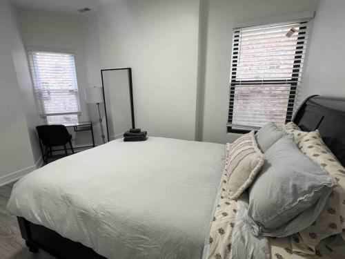 Lovely 3-bedroom apartment in Bronzeville in Chicago, USA