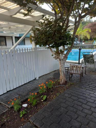View, Pinelodge in Opua