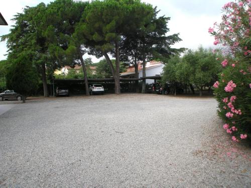 L' Oleandro, Marina di Campo (foto 6)