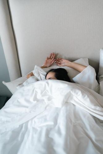 522839191 Milo Collection Hotel