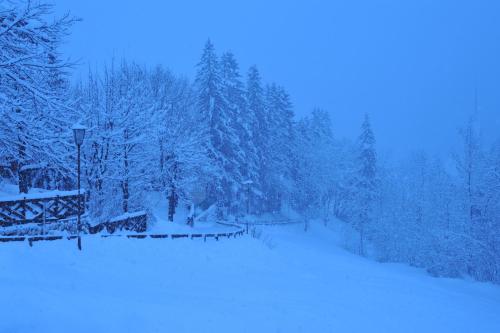 Hotel Garnì Carpe Diem – Vigo di Fassa, TN