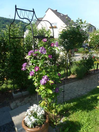 Ferienwohnungen Eckstein in Bernkastel-Kues, Deutschland