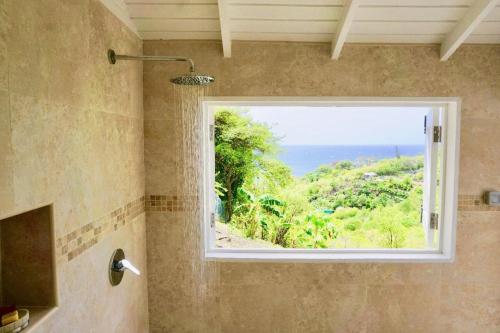 Lovely 3 BR Ocean View Villa