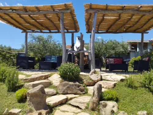 Cuccuru Relax - B IUN Q9882