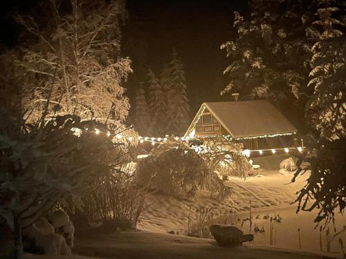 Viesu Nams “Noras” in Kesterciems