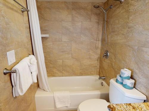 Deluxe Panoramic Mountain View Condo - 37th Floor Free parking & Wifi - image 3